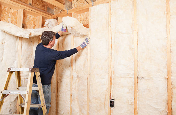 Best Garage Insulation  in USA